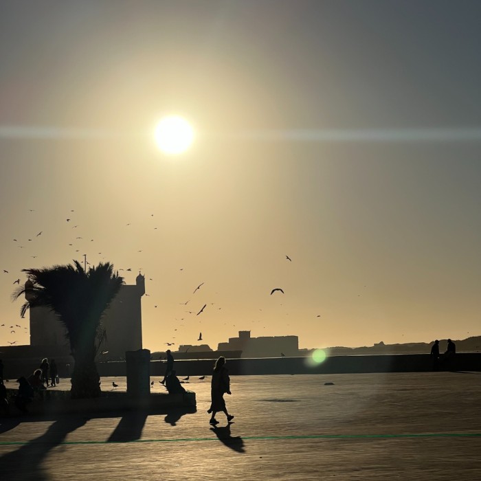 Surf Coaching & Yoga - 7 nights / 8 days 