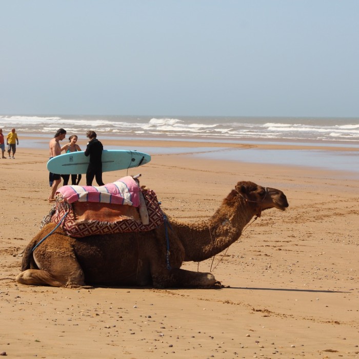 Surf Coaching & Yoga - 7 nights / 8 days 