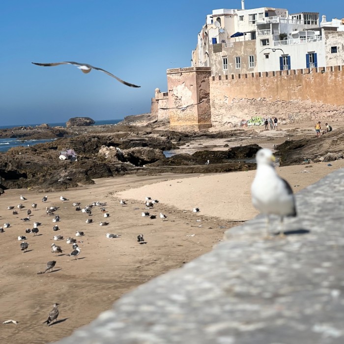 Surf Coaching & Yoga - 7 nights / 8 days 