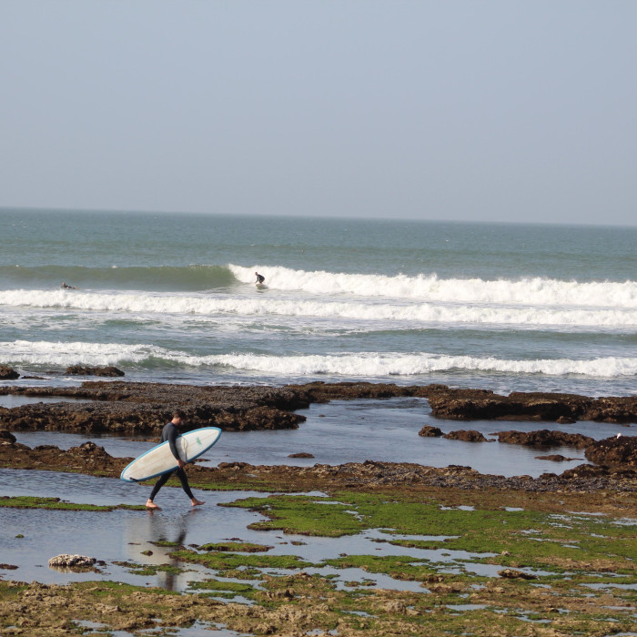 Surf Coaching 